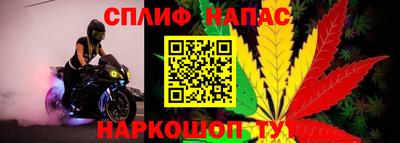 Альфа ПВП Заволжье
